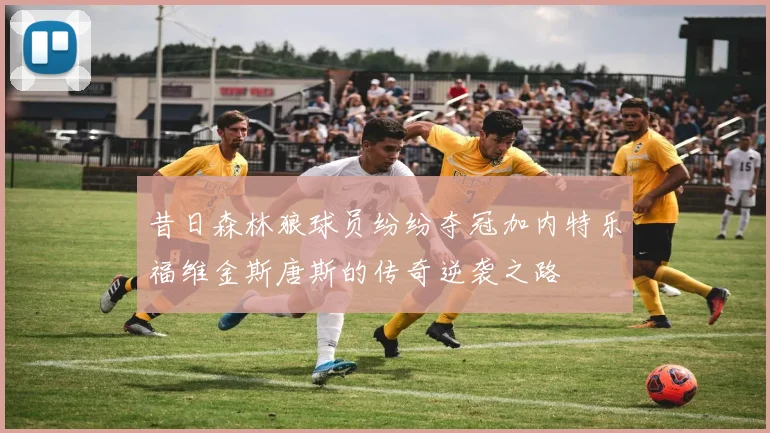昔日森林狼球员纷纷夺冠加内特乐福维金斯唐斯的传奇逆袭之路